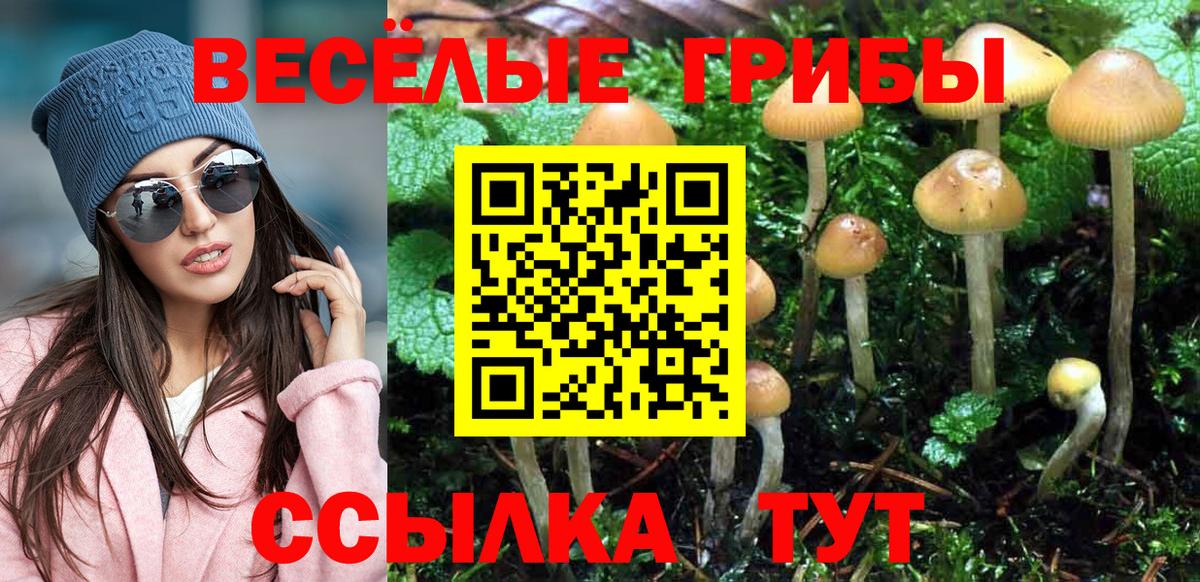 Галлюциногенные грибы GOLDEN TEACHER  Вход с VPN  Соль-Илецк 